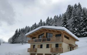 Chalet Le Paradis Blanc - Notre-Dame-de-Bellecombe, France