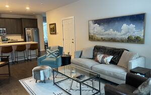 Beautiful Minturn Modern Townhome Near Vail/Beaver Creek - Minturn, Colorado