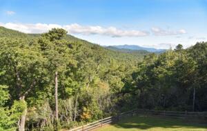 Frolly Falls Mountain Escape - Black Mountain, North Carolina