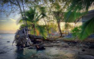Casa Sur at Casa Comunal - Bocas del Toro, Panama