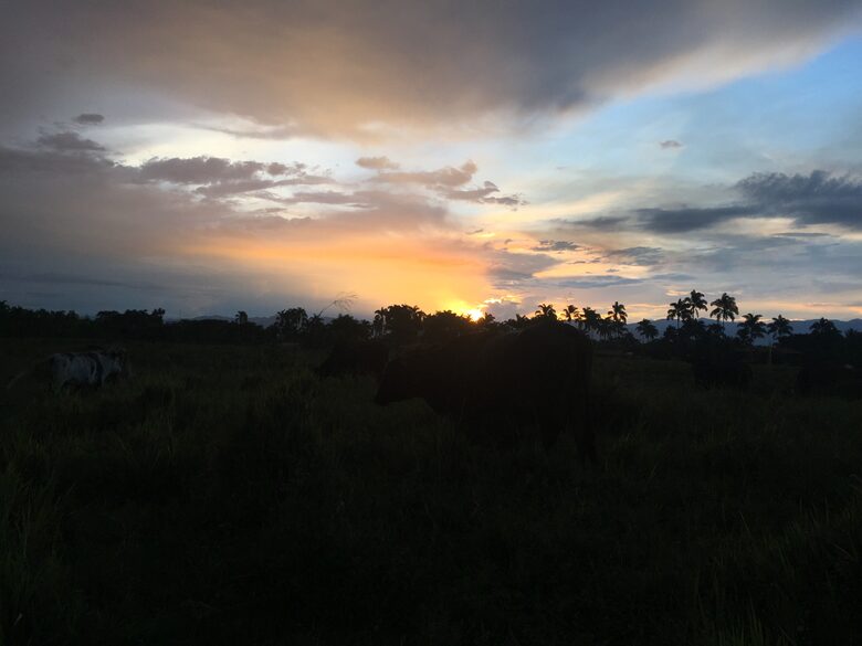 Puesta de sol 3