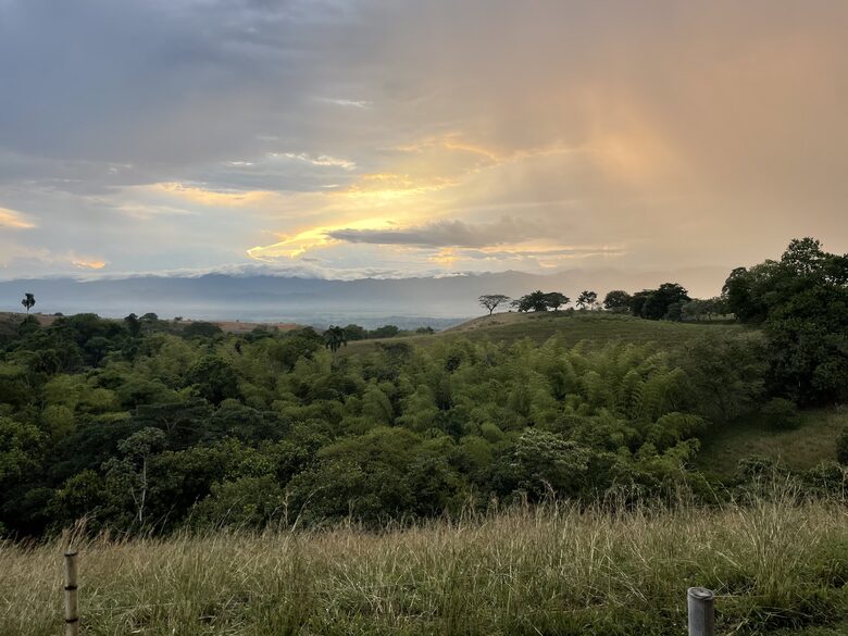 Vistas de la propiedad