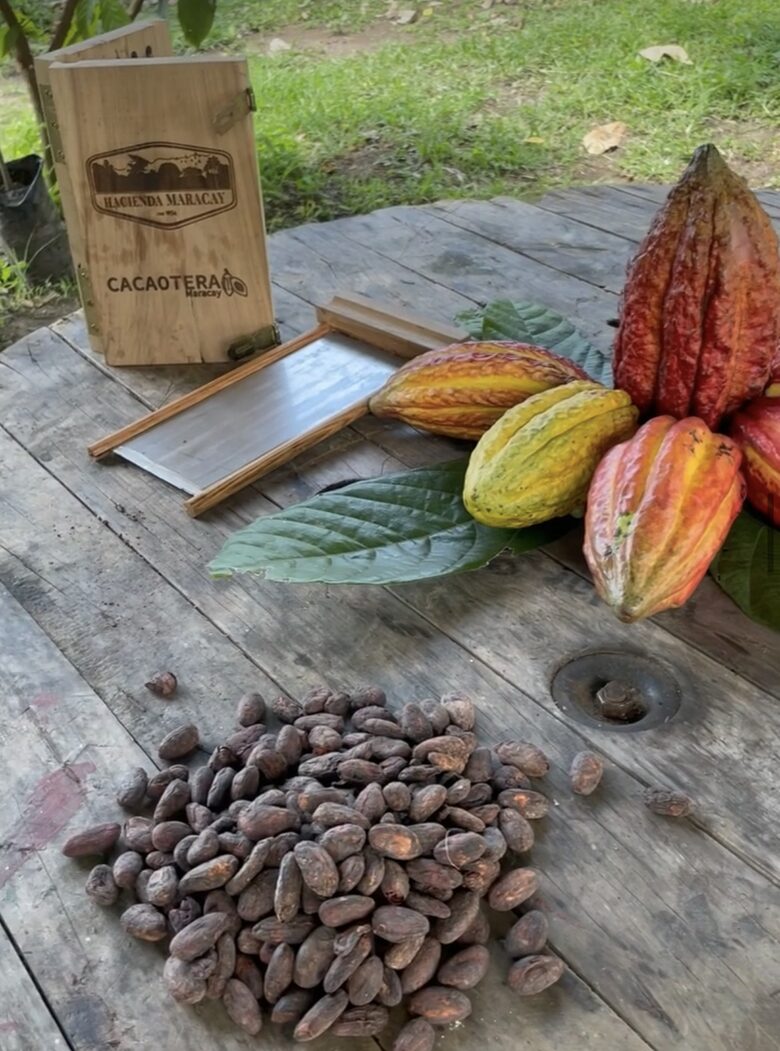 Experiencia con el cacao