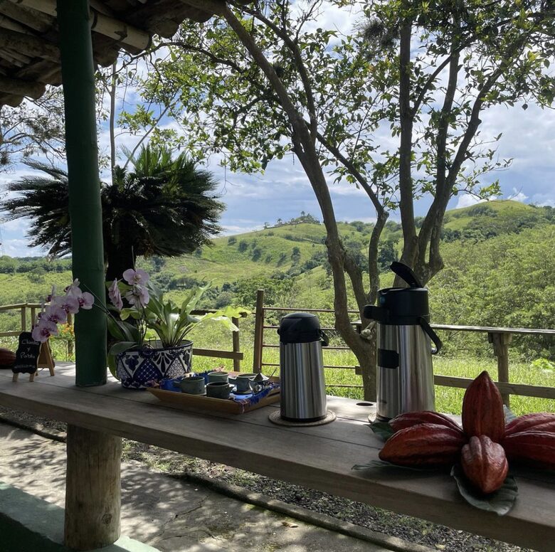 Un desayuno perfecto en plena naturaleza
