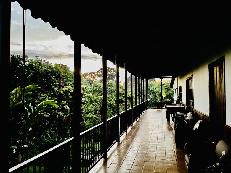 Vista del pasillo del jardín