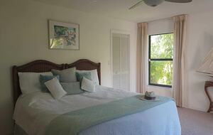 Royal Lane - Naples, Florida