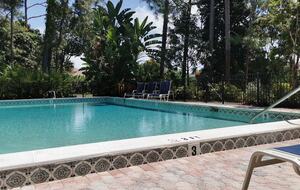 Royal Lane - Naples, Florida