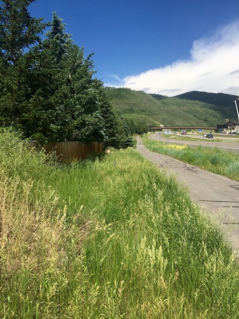 Walk to Lionshead + Mountain Views - Vail, Colorado