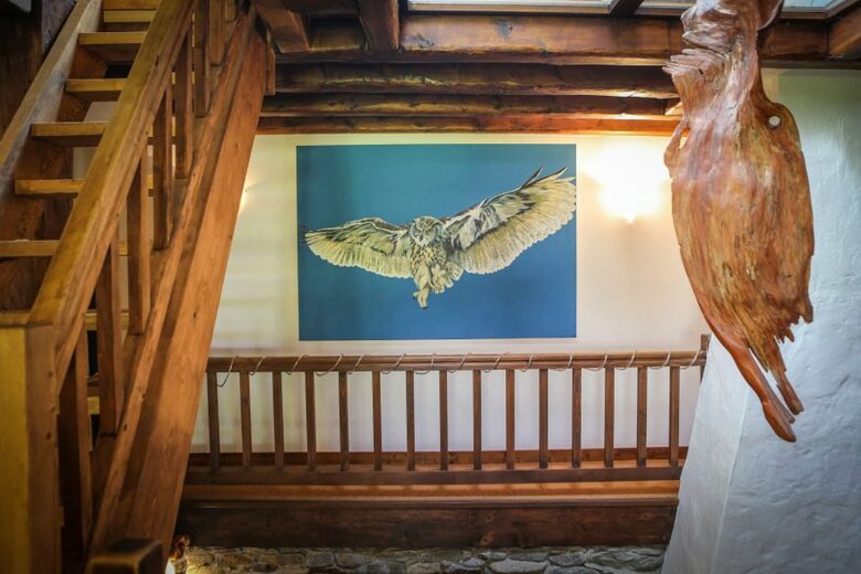 Marmotte Mountain Manor - Chamonix-Mont-Blanc, France