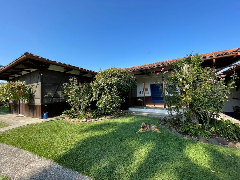 Vista lateral
