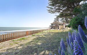 Beachfront Magical Paradise - Bolinas, California