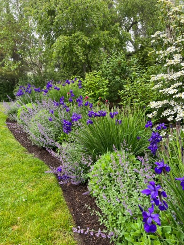 Hamptons Retreat - Southampton, New York
