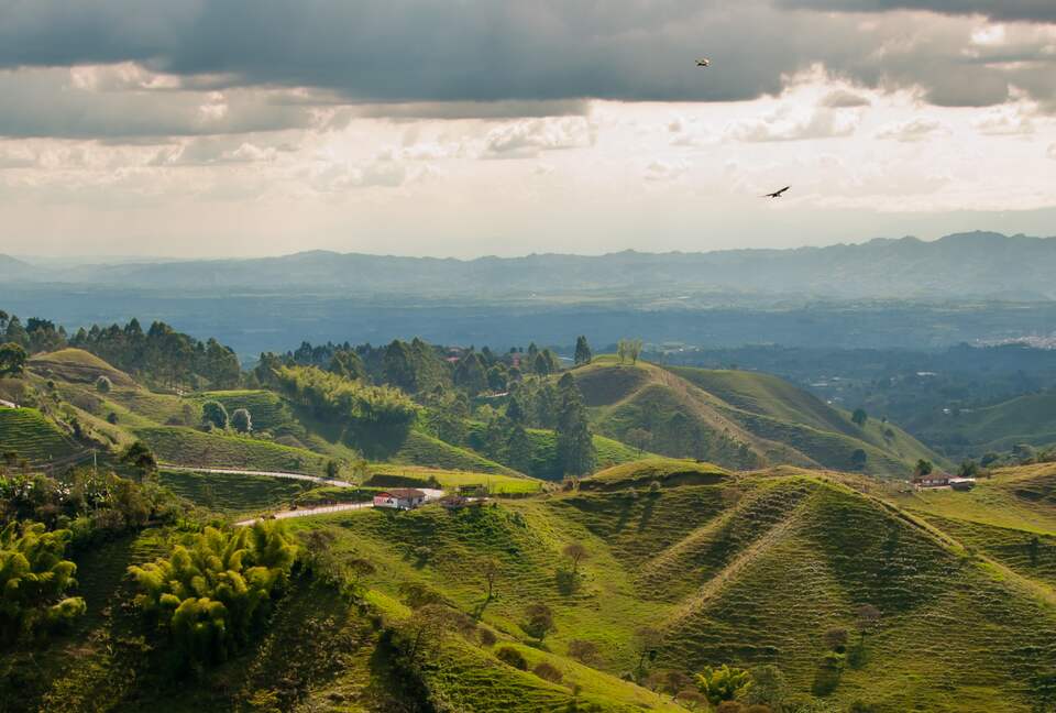 Hacienda Maracay | En la región cafetera de Colombia - Pereira, Colombia