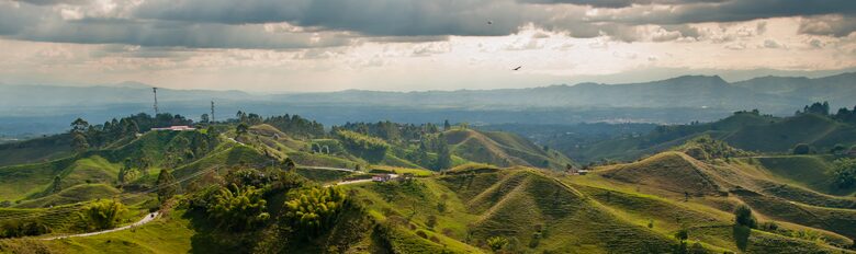 Hacienda Maracay | En la región cafetera de Colombia - Pereira, Colombia