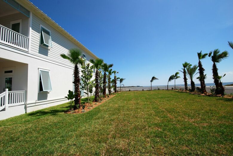 Tropical South Padre Island Paradise - South Padre Island, Texas