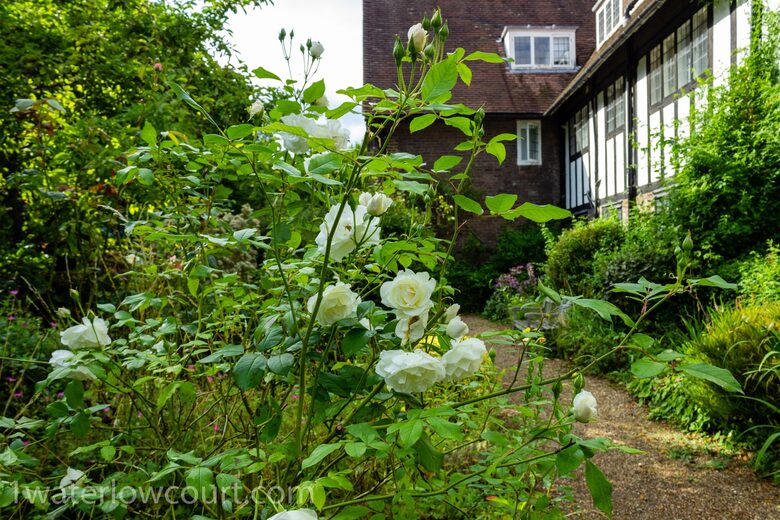 1 Waterlow Court - London, United Kingdom