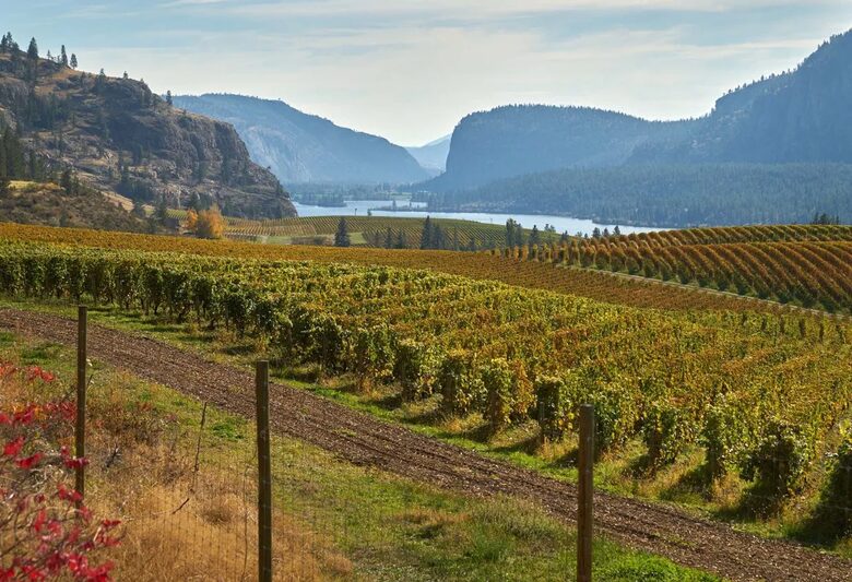 Wine Country Lakeside Retreat with private beach, rock climbing, wine tours, and more | Four Residences - Oliver, Canada