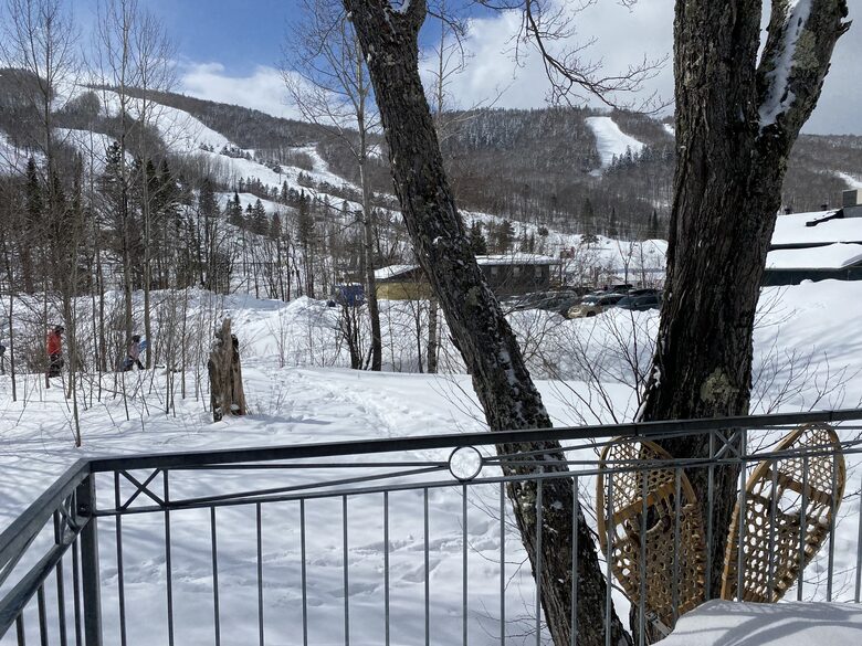 Quebec City so close : ski-in ski-out cozy chalet - Stoneham, Canada