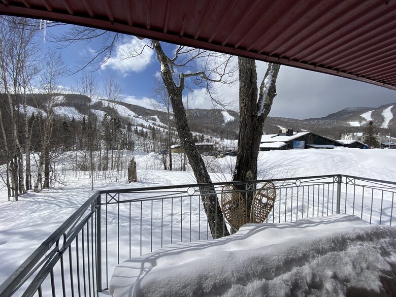 Quebec City so close : ski-in ski-out cozy chalet - Stoneham, Canada