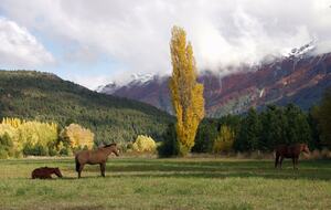 Gorgeous 880 Acre Argentina Ranch - Villa Lago Rivadavia, Argentina