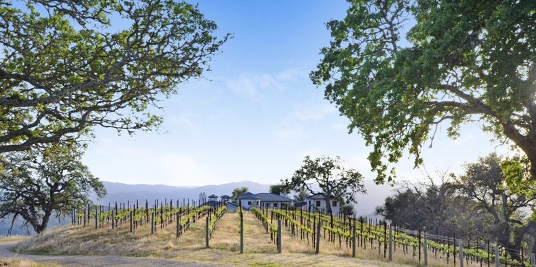 Napa Valley Resort Like Home - Saint Helena, California