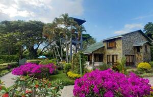 Finca el Naranjo | Colombian Farm Estate | With pool, soccer field, running track, and staff - La Tebaida, Colombia