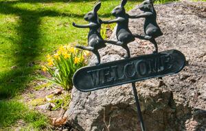 Charming New Canaan Cottage | Walking distance to town | About an hour from New York City by train - New Canaan, Connecticut