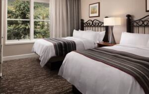 Marriott’s Streamside Douglas at Vail 2-Bedroom Getaway - Vail, Colorado