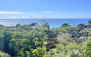 Seaview shack  | With Panoramic Ocean Views - Moffat Beach, Australia
