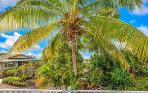 Aloha E Komo Mai | Tropical Retreat with Ocean Views - Kailua-Kona, Hawaii