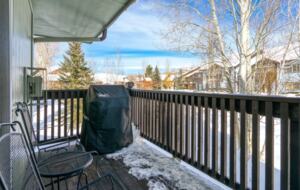 Cozy and Chic Steamboat Springs Condo - Steamboat Springs, Colorado