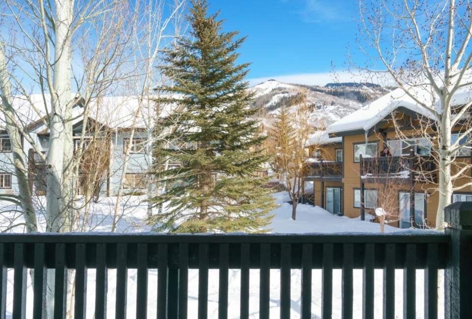 Cozy and Chic Steamboat Springs Condo - Steamboat Springs, Colorado