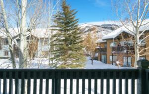 Cozy and Chic Steamboat Springs Condo - Steamboat Springs, Colorado