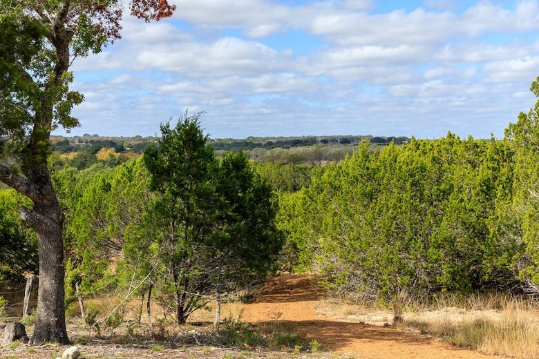 12 Acre Designer Farmhouse in TX Wine Country! - Stonewall, Texas