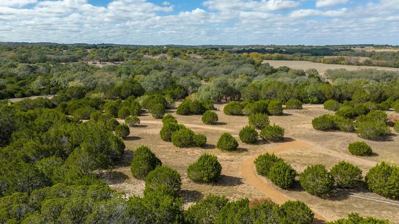 12 Acre Designer Farmhouse in TX Wine Country! - Stonewall, Texas