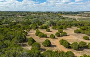12 Acre Designer Farmhouse in TX Wine Country! - Stonewall, Texas