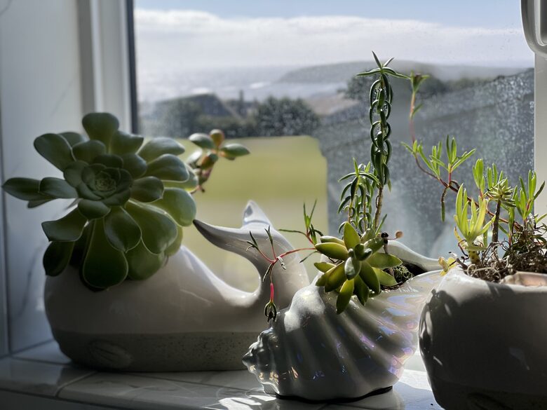 Coastal greenery throughout the home.