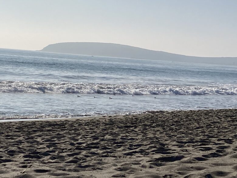 Waves crashing on shorebirds at Pinnacle Beach.
