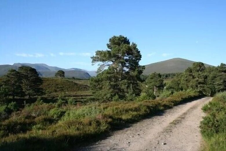 Glencraig - Nethy Bridge, United Kingdom