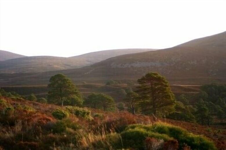 Glencraig - Nethy Bridge, United Kingdom