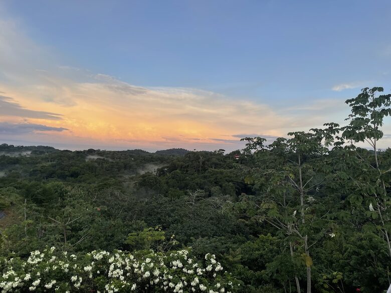 Casa Cascada Panoramic Views and Expansive kitchen - Ojochal, Costa Rica