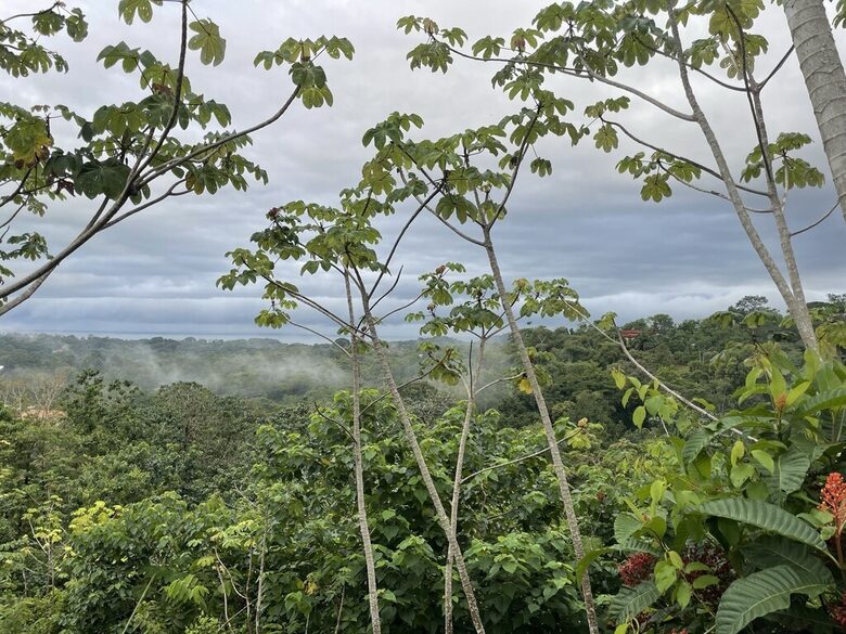 Casa Cascada Panoramic Views and Expansive kitchen - Ojochal, Costa Rica