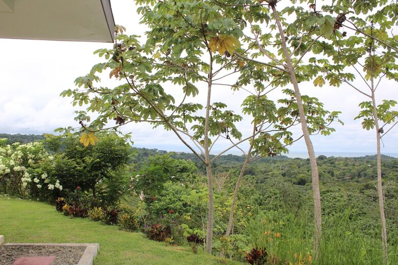 Casa Cascada Panoramic Views and Expansive kitchen - Ojochal, Costa Rica
