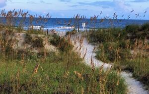 Hilton Head Island Retreat | 4th Row, Less than 100 strides to Beach, with Pool & Hot Tub - Hilton Head Island, South Carolina