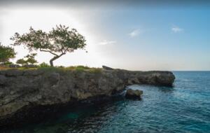 Luxury SettleDown Villa 2 at Chukka Cove in St Ann - Llandovery, Jamaica
