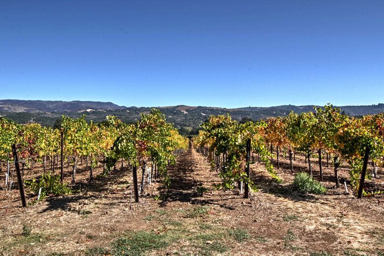 Sonoma Sunsets | With patio and vineyard views - Sonoma, California