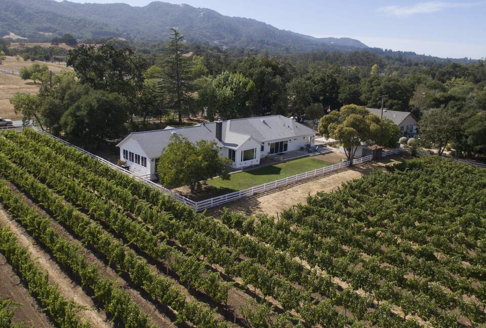 Sonoma Sunsets | With patio and vineyard views - Sonoma, California