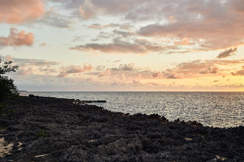 Poetreef Retreat - Green Island, Jamaica