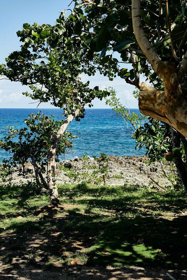 Poetreef Retreat - Green Island, Jamaica