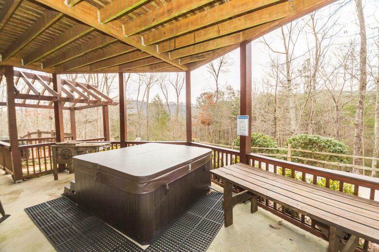 Luxe Lodge Near Downtown Blue Ridge - Blue Ridge, Georgia
